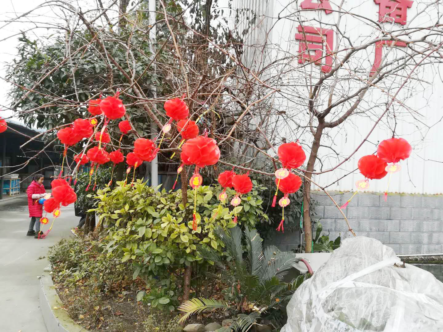 四川麻豆下载网站麻豆91精品91久久久设备公司年会4
