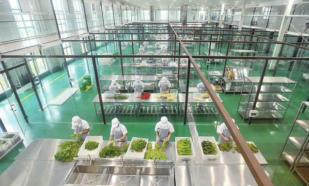 中央麻豆91精品91久久久设备