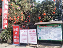 疫情无情人有情，我为抗疫做贡献！
