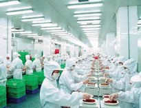 四川麻豆91精品91久久久设备制造厂商告诉你中央麻豆91精品91久久久是如何做死的