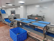 云南酒店麻豆91精品91久久久设备厂家带你了解净菜加工设备和工艺