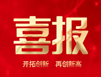喜报！麻豆下载网站产品通过全省首台套认定